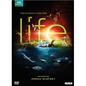 BBC Life DVD Giveaway