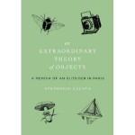 Extraordinary Theory of Objects book