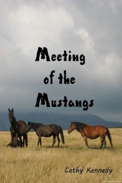 MEETING  OF  THE  MUSTANGS a story of Wild Mustangs