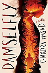 Damselfly ; a Young Adult Novel by Chandra Prasad