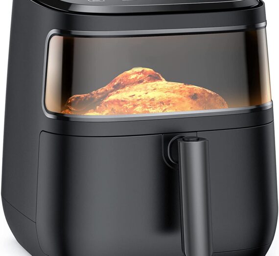 Dreo Air Fryer Pro Max Review